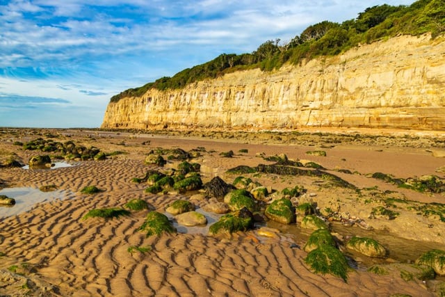 Pett is great for the outdoor enthusiasts among us. When in Pett, the top two visitor attractions are Pett Level Beach and Guestling Wood.