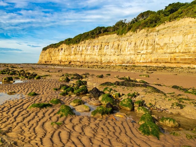 Pett is great for the outdoor enthusiasts among us. When in Pett, the top two visitor attractions are Pett Level Beach and Guestling Wood.