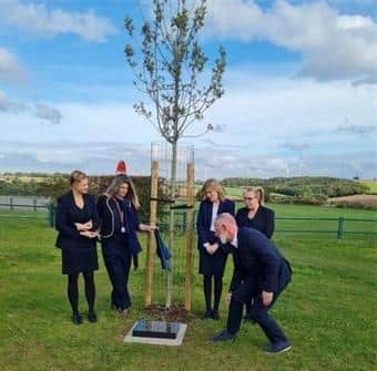 The plaque has been installed in front of a memory tree that Ward Councillors funded using their Community Leadership Fund.