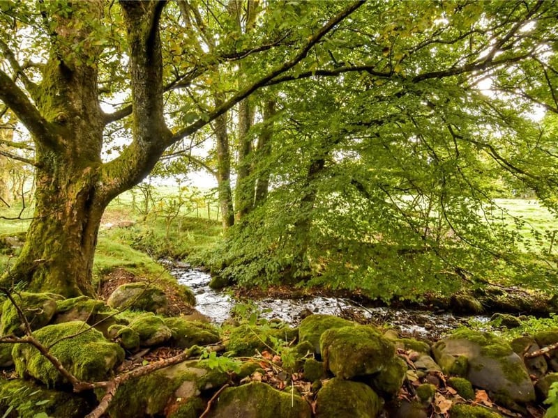 Burn and woodland.