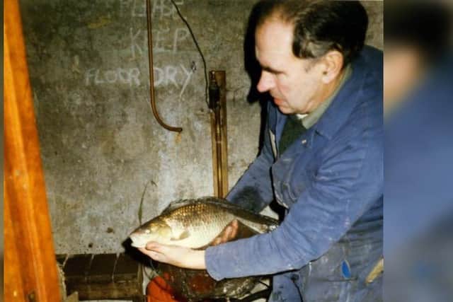 Ken Cornthwaite looking after the fish in the aquarium at Sheffield's Hole in the Road subway. Photo: Kath Hammond
