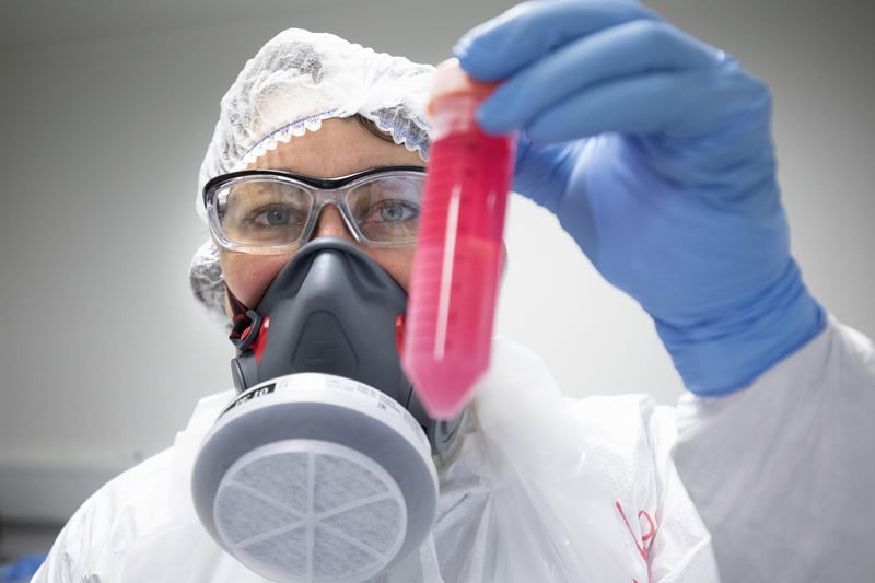 Dr Vanessa Herder handles a cell solution infected with SARS-CoV-2, the virus which causes COVID-19, which has been grown to determine the amount of virus