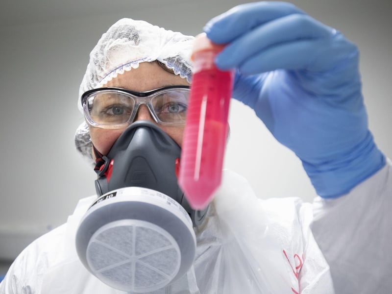 Dr Vanessa Herder handles a cell solution infected with SARS-CoV-2, the virus which causes COVID-19, which has been grown to determine the amount of virus