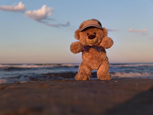John James the teddy bear at Sunset on the beach in Barcelona, Spain. 
These adorable teddy bears could be the world's most well-travelled cuddly toys - as their photographer owner has chronicled their adventures in 27 different countries. Christian Kneidinger, 57, has been travelling with his teddy bears, named John and Bob since 2014 - and his taken them to some of the world's most famous landmarks. The teddy bears have dressed up in traditional Emirati clothing to visit the Sultan's Palace in Oman, and have braved the cold on a glacier on Lofoten Island in Norway.