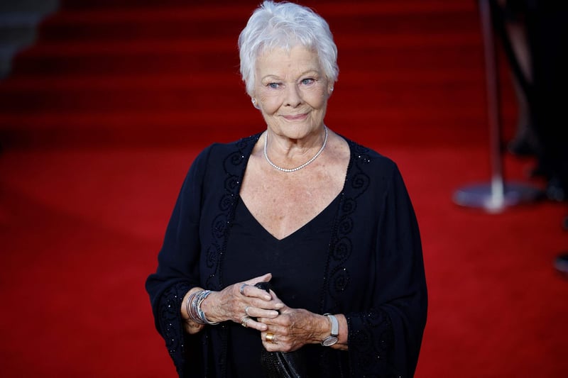 English actor Judi Dench poses on the red carpet.