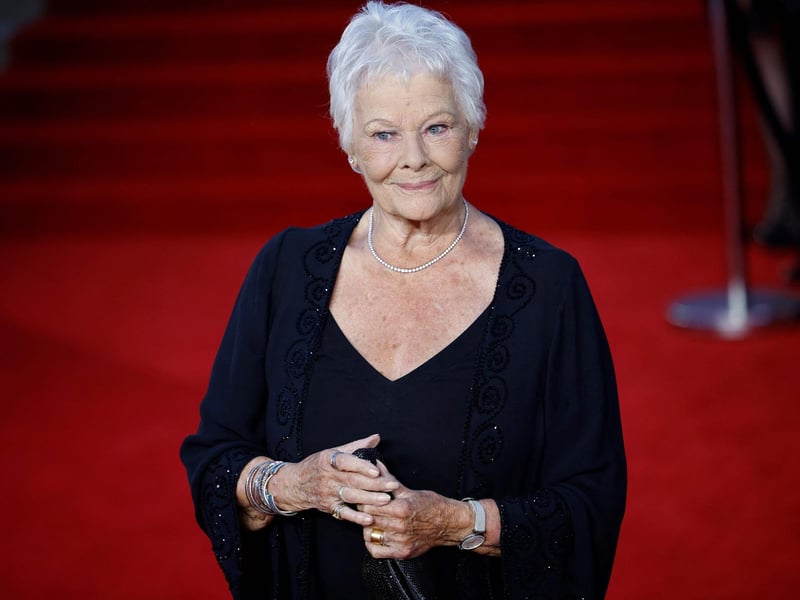English actor Judi Dench poses on the red carpet.