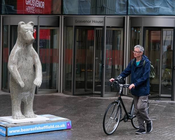 The bears of Sheffield have appeared around the city raising money for the Children's Hospital Charity