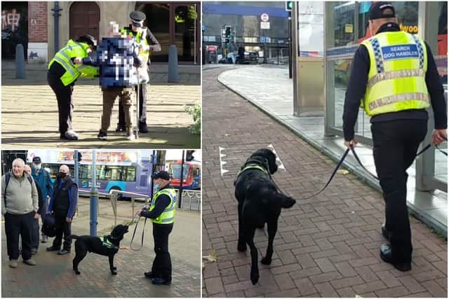 Sniffer dog Rosco was deployed to Sheffield city centre to search for anyone carrying illicit substances on the streets.