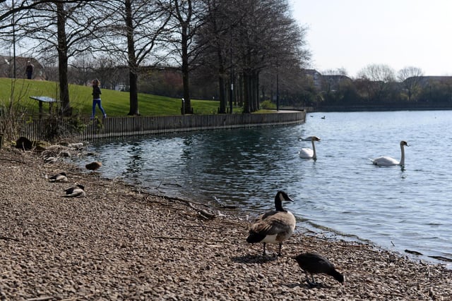 Lakeside Lake, Doncaster. Picture: NDFP-24-03-20 Parks Lakeside 3-NMSY