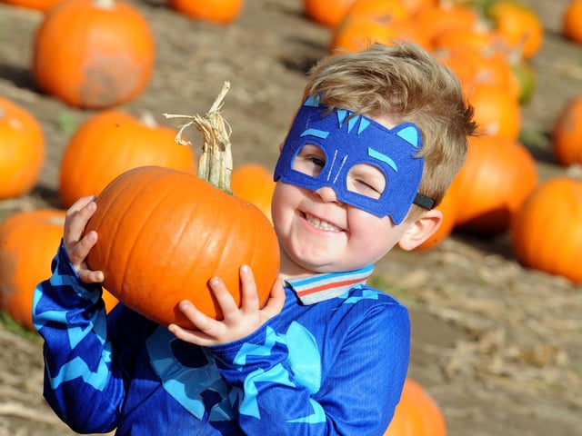 Known for its field full of pumpkins you can pick your own October 3 to October 31, 9am to 5pm, if you book online. 

​
