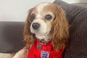 Chester wearing his England top.