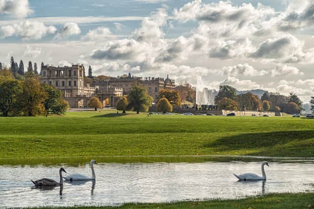 Swan lake, puddles formed by heavy rain on the Deer Park at Chatsworth House, sent in by Michael Hardy