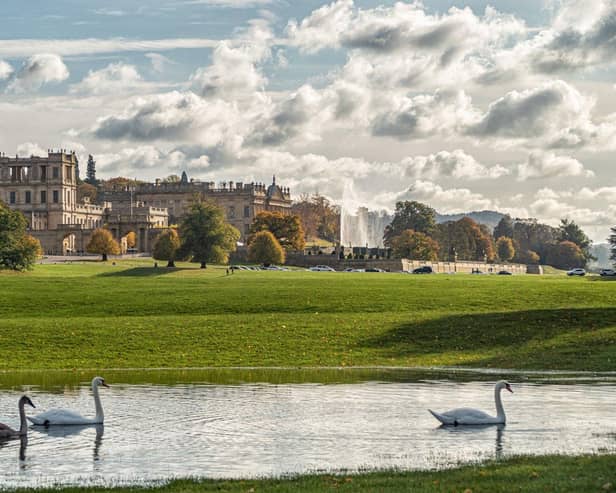 Swan lake, puddles formed by heavy rain on the Deer Park at Chatsworth House, sent in by Michael Hardy