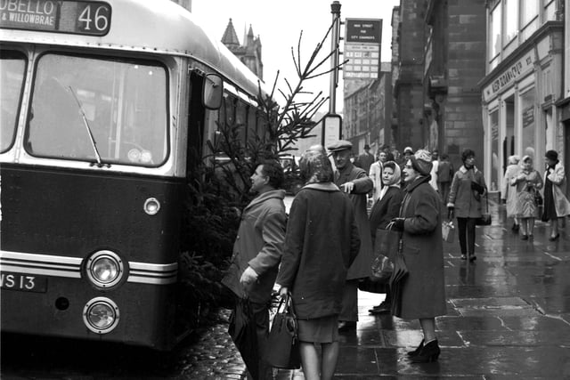 A man with a Christmas tree attempts to get on a bus on the High Street in 1965.