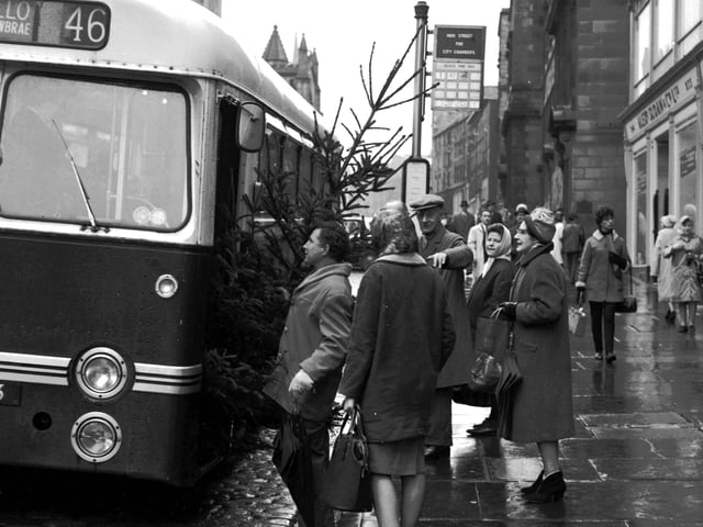 A man with a Christmas tree attempts to get on a bus on the High Street in 1965.