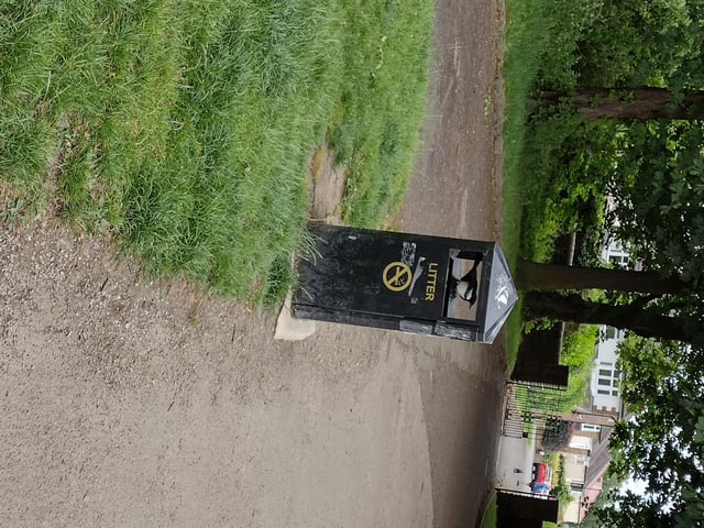 The Magpie in the Bin taken by Catherine Langan