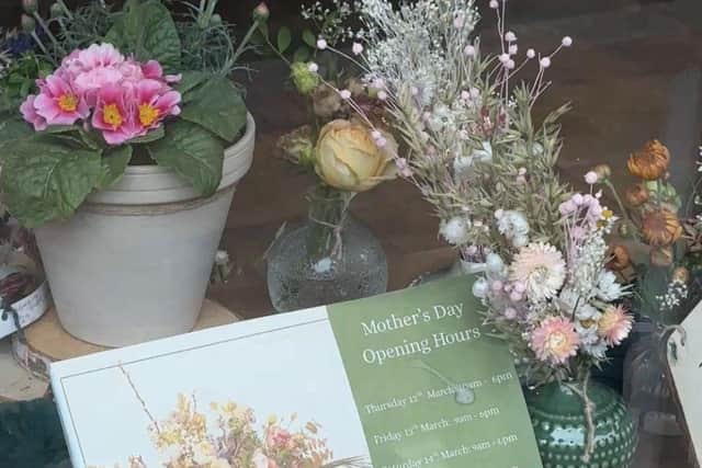 Opening times extended at Plantology, Sheffield