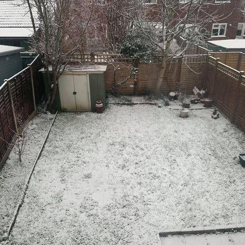 A snowy back garden in Clanfield. Picture: Sarah King