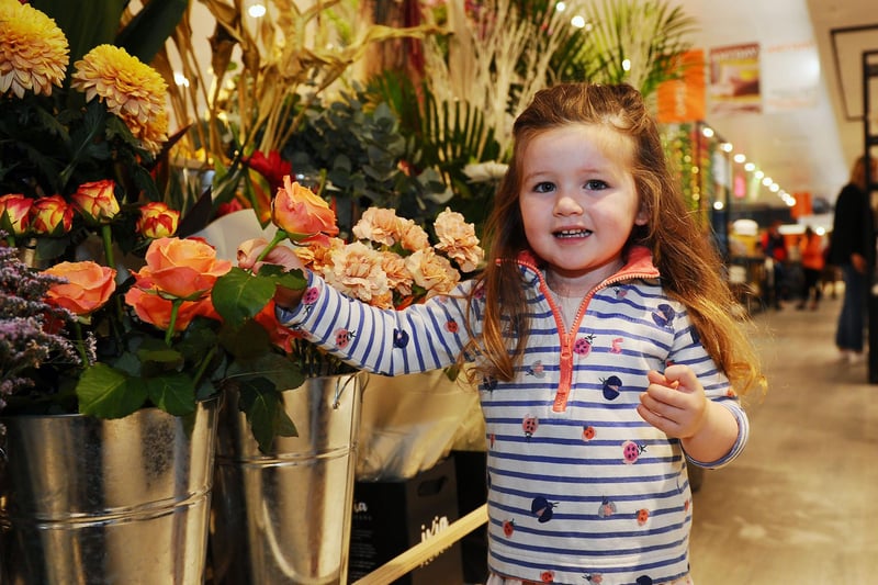 Phoebe Cernicchiaro, aged two, peruses the ixias in the flower section.
