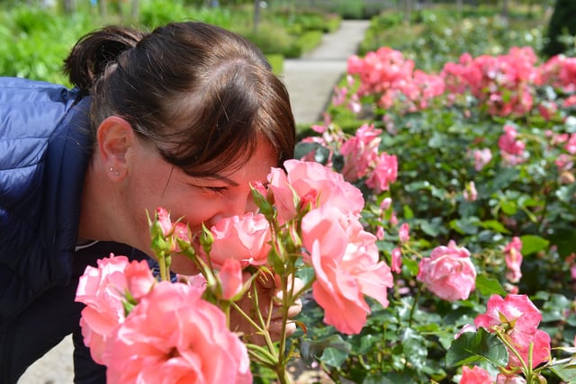 People were able to enjoy the Rose Garden during their visit.