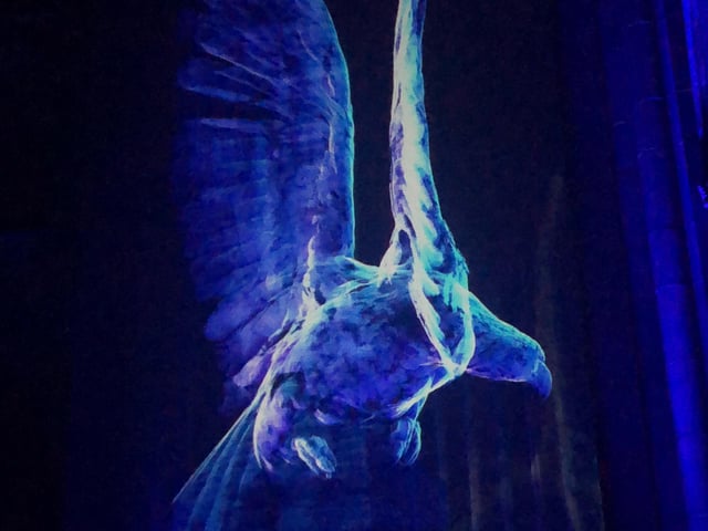 An impressive Eagle lit up the church as it flew around the room.