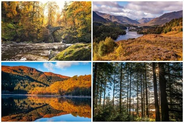 The autumn season sees a vibrant mixture of bright colours (Photo: Shutterstock)