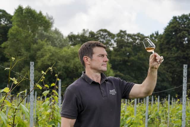 Kieron Atkinson has recently won three awards at English Wine Week for his wine produced at Renishaw Vineyard near Sheffield. Picture Scott Merrylees