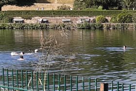 Residents are being warned to stay out of water as Sheffield faces a heatwave – a year after a man drowned in the city. Picture shows swimmers there this weekend
