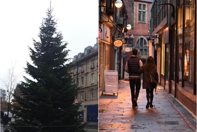 Christmas Tree in Sheffield