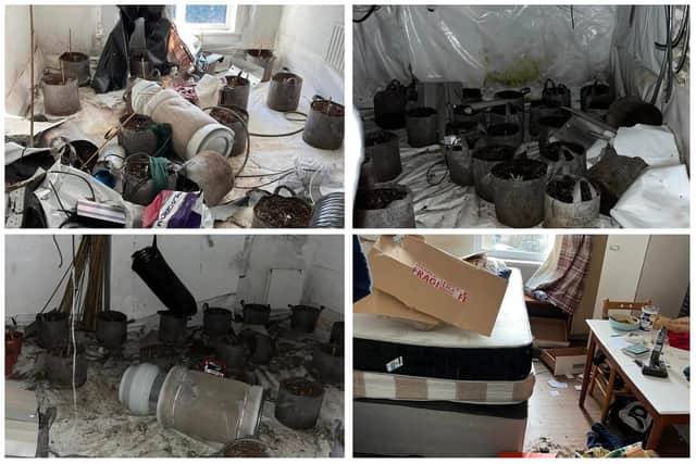 This was the state of a rented house in Sheffield after it was turned into a cannabis farm before it was cleared by South Yorkshire's Man and Van (Photo: South Yorkshire's Man and Van)