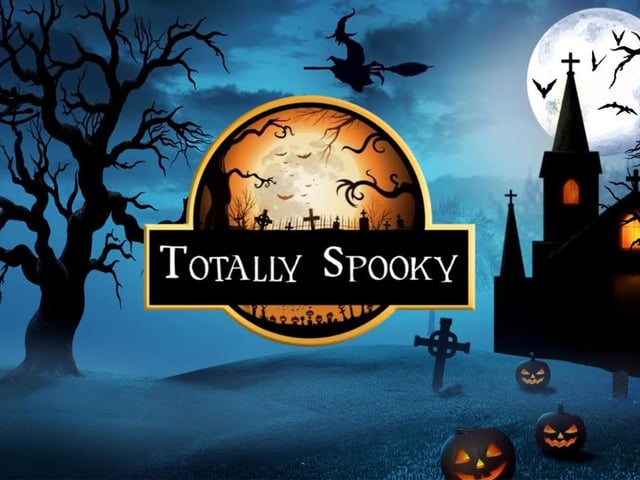 Halloween is only a week away, so why not get in the mood by going Totally Spooky at Rufford Abbey Country Park? Fun, family-friendly Halloween trails through the woods, suitable for all ages, are being held on Friday, Saturday and Sunday, both during the day and at night