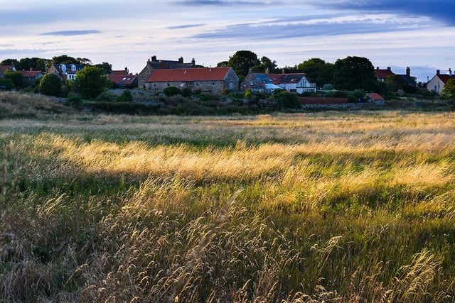 Holy Island houses in the day's fading light, by John Thompson.