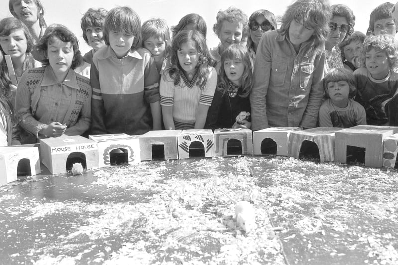 Who can tell us more about this Thornhill School Fete scene from July 1975?