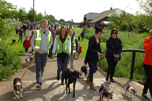 A sponsored dog walk to help Alice House Hospice but who do you recognise in this 2013 photo?