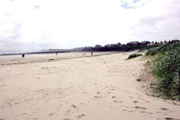 St Aidan's at Seahouses is the number three rated dog-friendly beach.