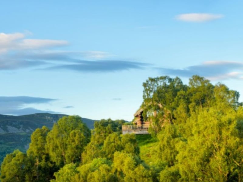 The cabins are set on the side of a hill overlooking a stunning glen.