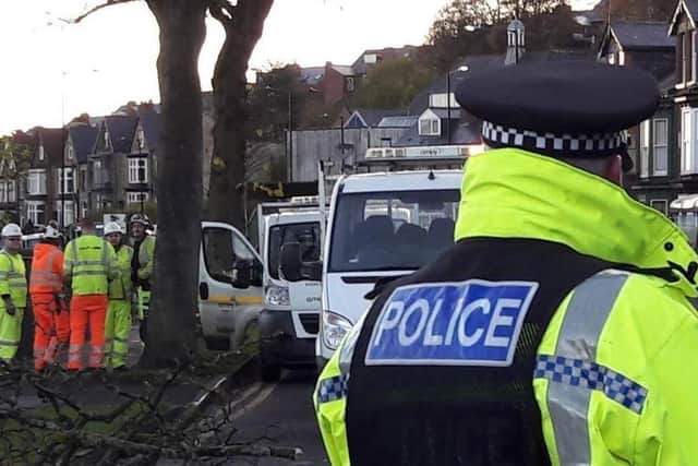 Police supported a pre-dawn tree-felling operation on Rustlings Road last year 