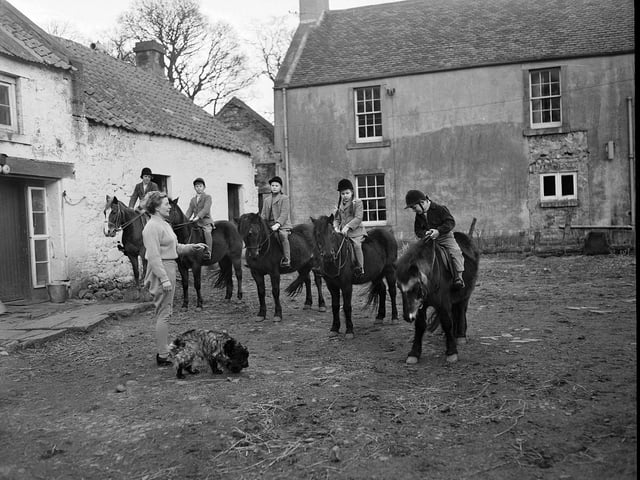 Youngsters preparing for an outing at Colinton's Dreghorn Riding School in February 1959.