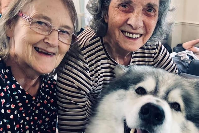 The dogs work in care homes across the region