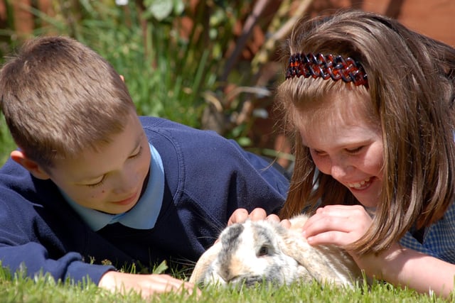 Ashley Primary School pupils Callum Edge and Jamie-Leigh Giles are pictured with the rabbit which was found in the school grounds in 2006. Remember this?