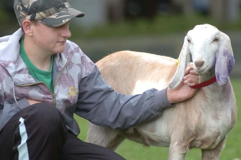 Jonathan Foster from City School with Borage, a one-year-old Anglo Nubian goat, one the farm in September 2010