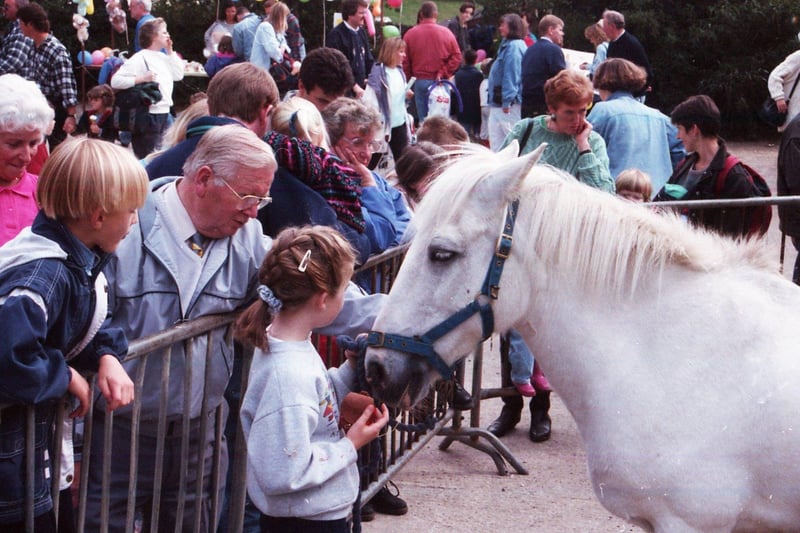 Pandora the pony is enjoying the attention at the Whirlow Hall Farm Fair, September 18, 1994