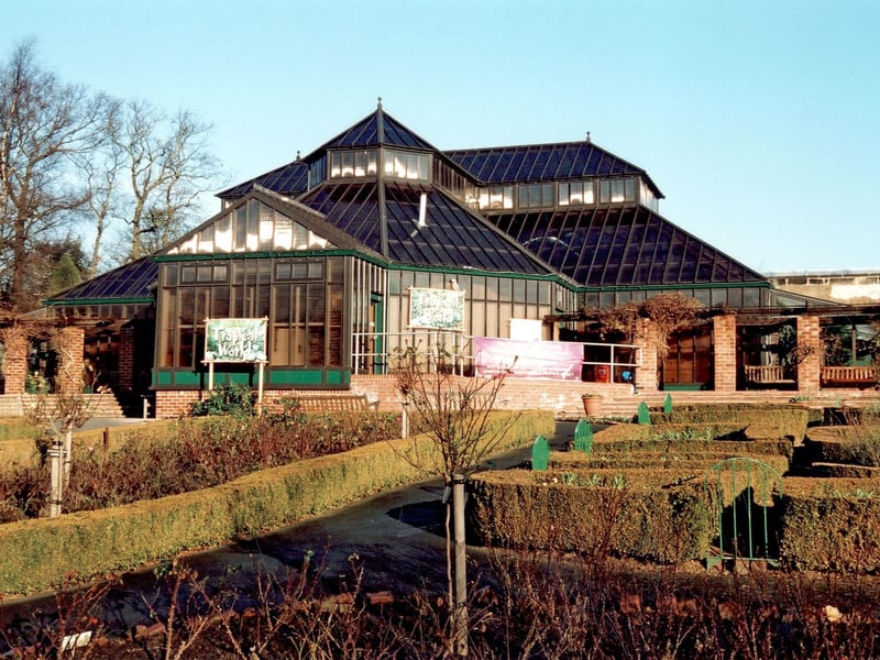 Discover exotic birds in the waterfall house with a new spotter sheet and follow the trail to learn about the Bumblebee Conservation Trust’s work in Roundhay Park. 🐰 Tropical World, Princes Avenue, Roundhay, LS8 2ER