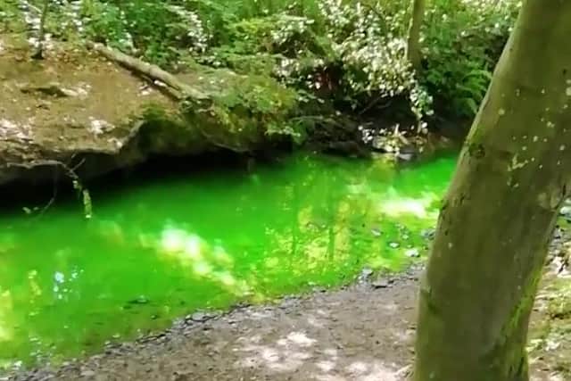 The Porter Brook river in Sheffield after it turned green (pic: Tonia Lucas)