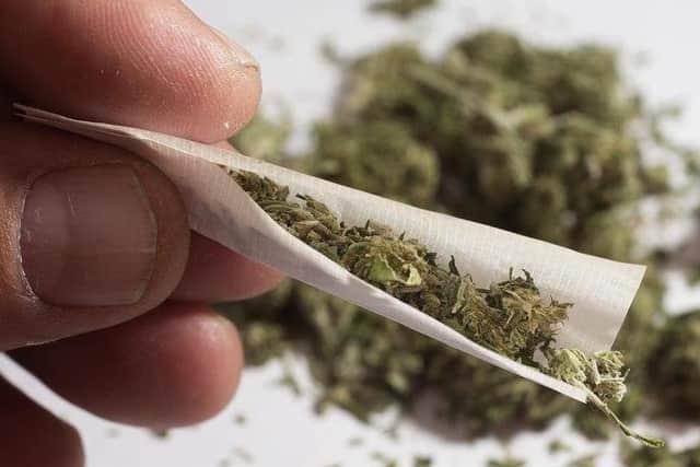 A South Yorkshire Police drug-dog was poised to search a car in Rotherham before a passenger admitted he was possessing the class B drug cannabis.