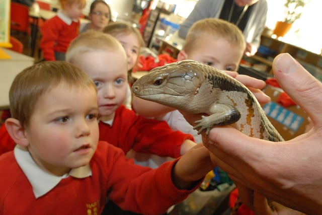 Harton Infants School hosted a discovery zoo in 2010. Does this bring back memories?