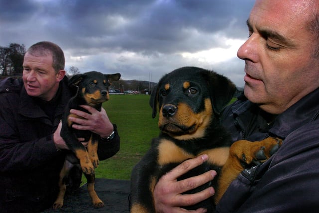 Dog Trainer PC Dick Ellis with Harley and PC Gary Hall with Jack  both Rottwellers pups are13 weeks old and will work in the South Yorkshire police force's firearms support role when trained. Pictured in 2004
