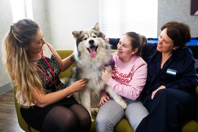 L-R: Sheridan Finley, Senior Relationship Manager at Local Care Force, Thunder the therapy husky, Jade (client at STEPS) Jules Leahy, Founder & Business Development Director at STEPS