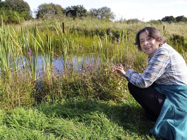 Visit Potteric Carr and see woodpeckers and kingfishers, you might also see roe deer and water voles while getting some fresh air.