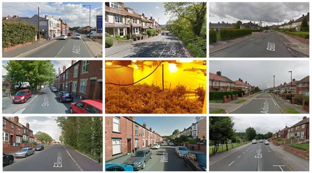 Cannabis grows have been found in properties across Sheffield in recent months